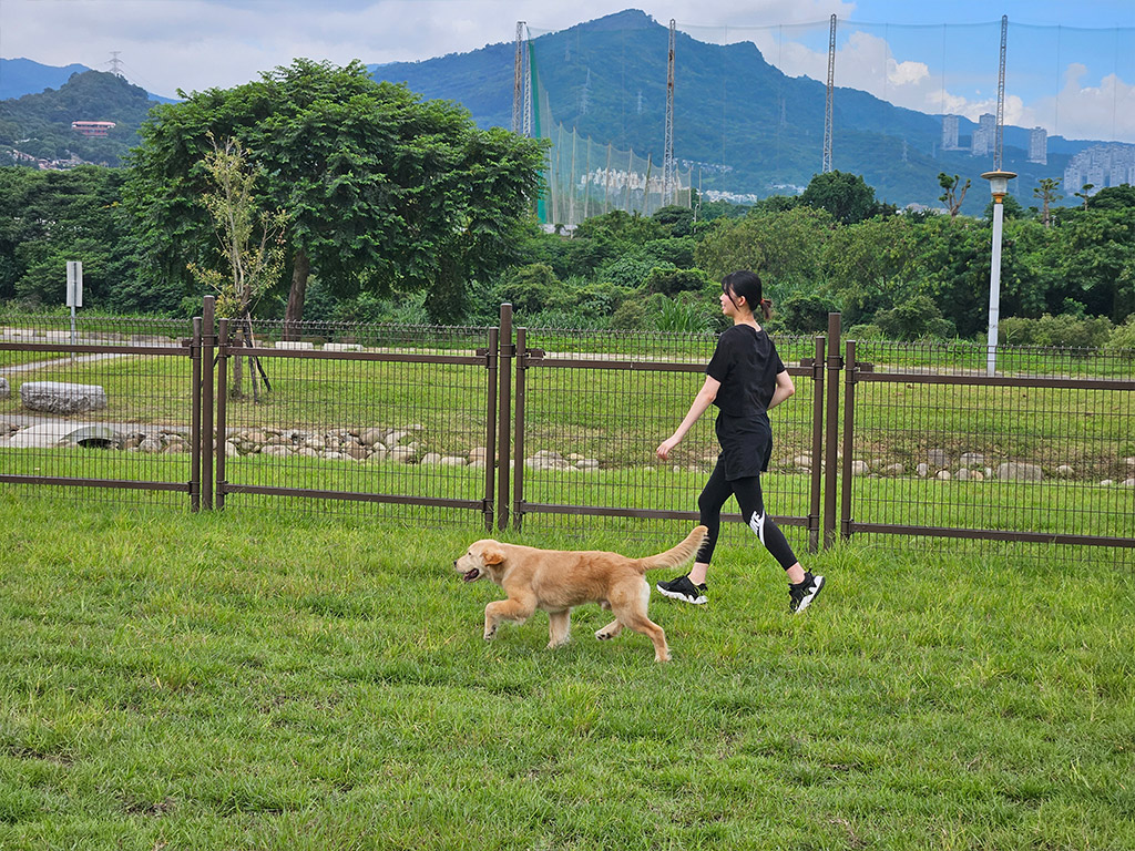 新店親情河濱公園現場照片