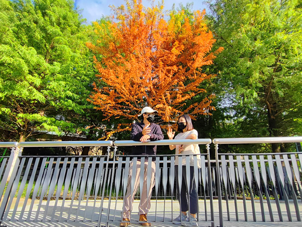 新店廣興河濱公園現場照片