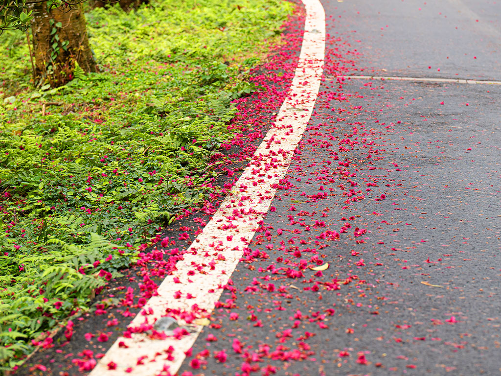 三芝大湖路、青山路現場照片二