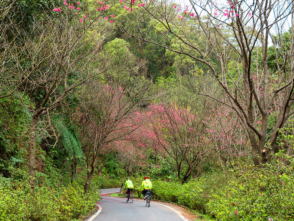 三芝大湖路、青山路現場照片三