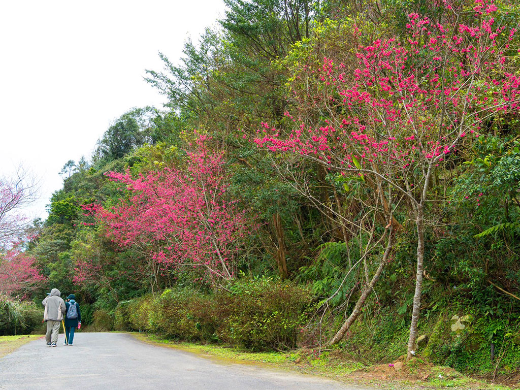 石碇二格道路現場照片一