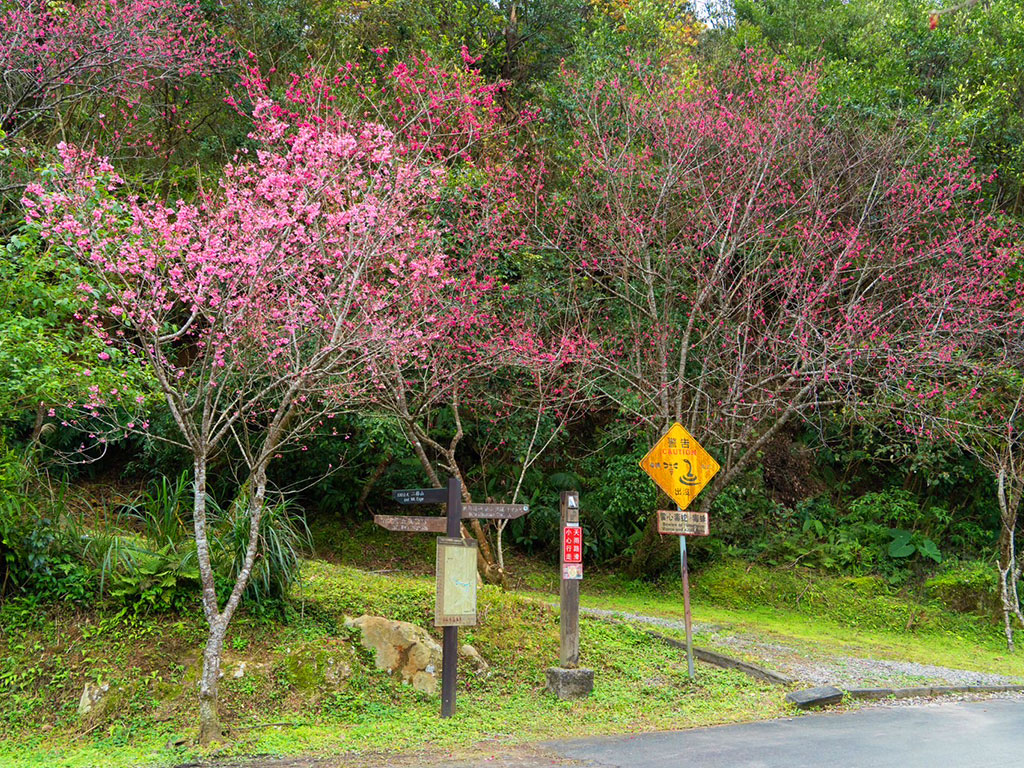 石碇二格道路現場照片二