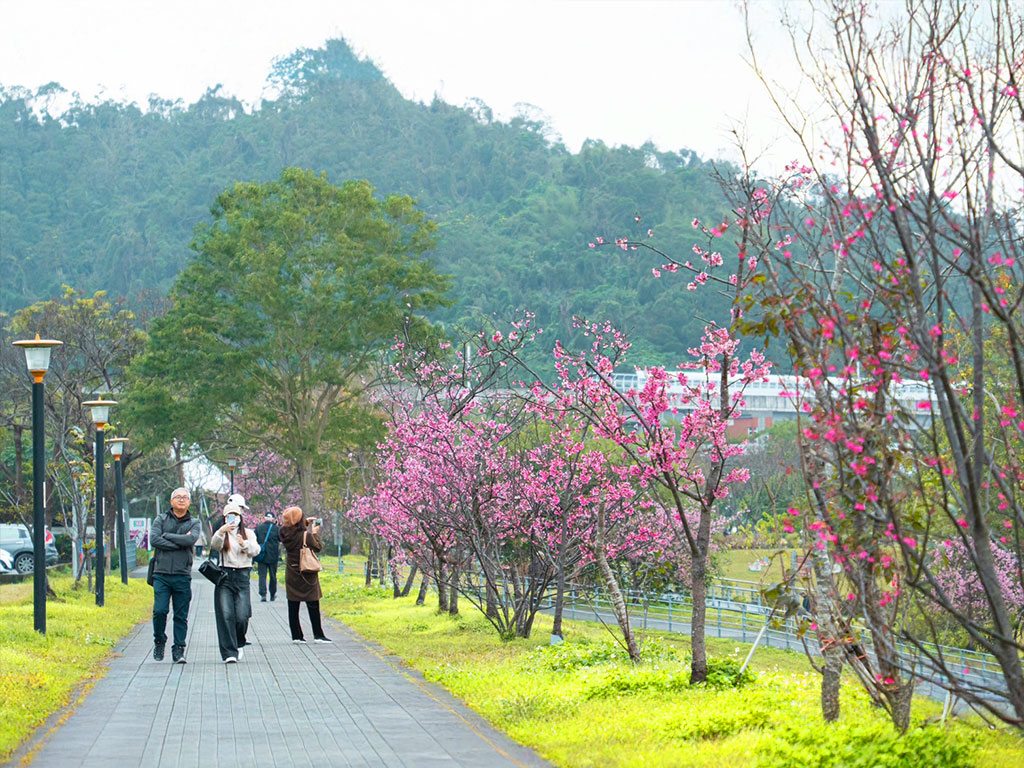 新店陽光運動公園現場照片一