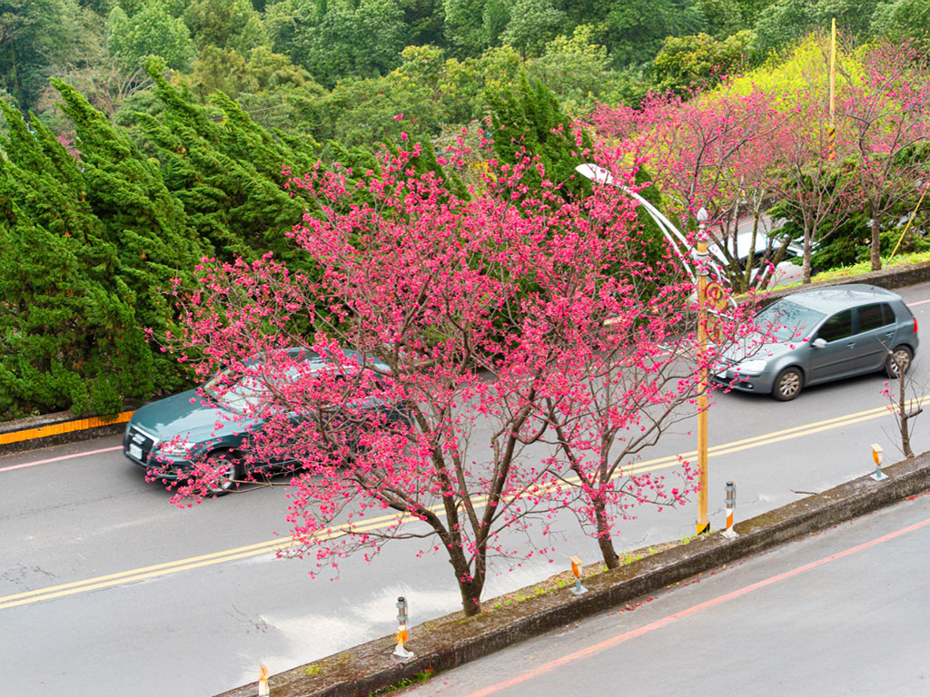 中和烘爐地現場照片二