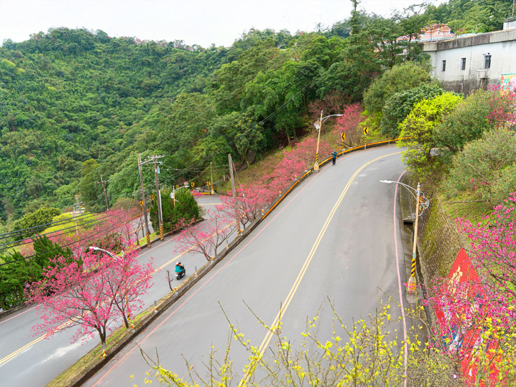 中和烘爐地現場照片三